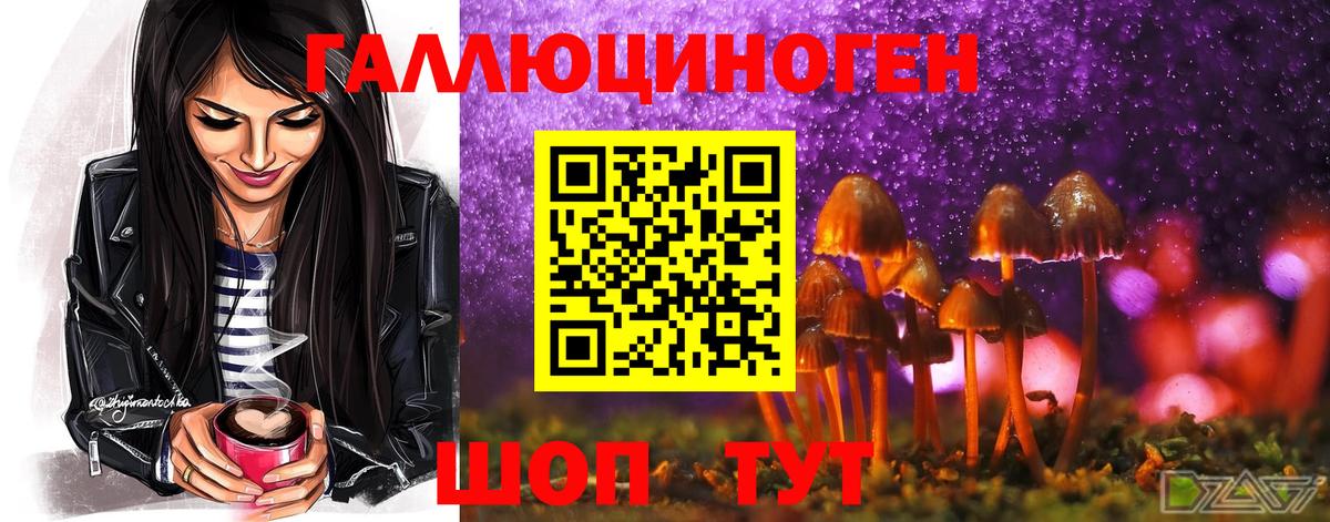 Стерлитамак  Галлюциногенные грибы GOLDEN TEACHER  Псилоцибиновые грибы Magic Shrooms  Вход с VPN 