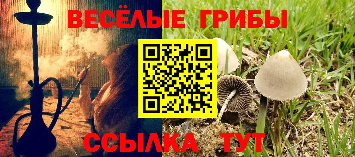 Галлюциногенные грибы прущие грибы Стерлитамак